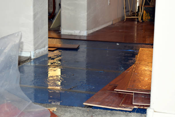 Professional Emergency Water Damage Restoration technician working in New Ringgold, PA